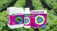 Ризоактив інокулянт бобових культур