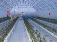 Системы капельного полива теплиц